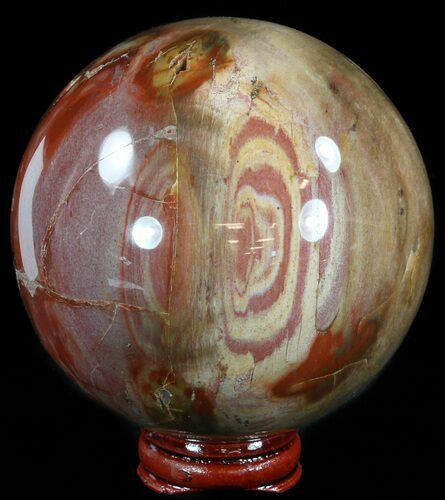 Colorful Petrified Wood Sphere #49772